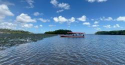 b96b3dad-74fd-4661-953e-543501a8640c